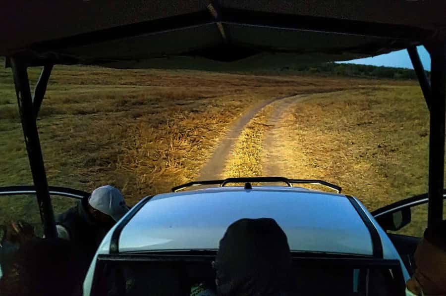 Victoria Falls: Bush Experience and Stargazing D-F-ES-GB - The Star Viewer Jeep and the open roof