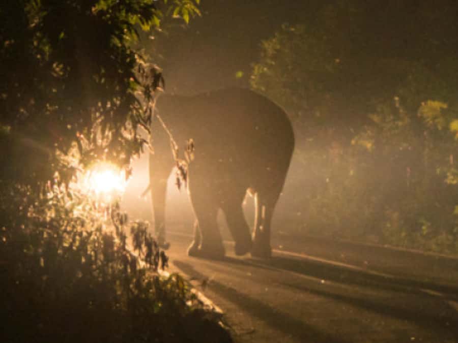 Victoria Falls: Bush Experience and Stargazing D-F-ES-GB - What the two-hour schedule means for you