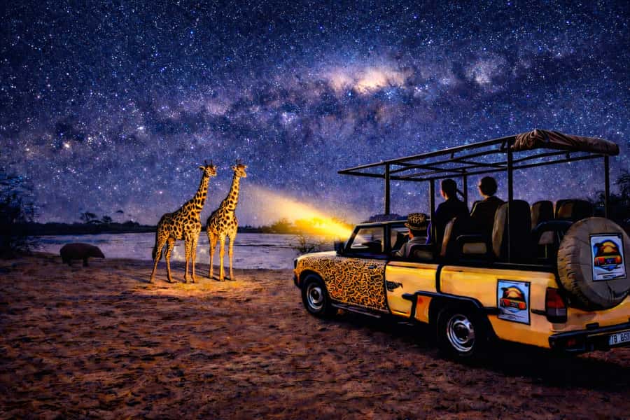 Victoria Falls: Bush Experience and Stargazing D-F-ES-GB - Searching the park by flashlight