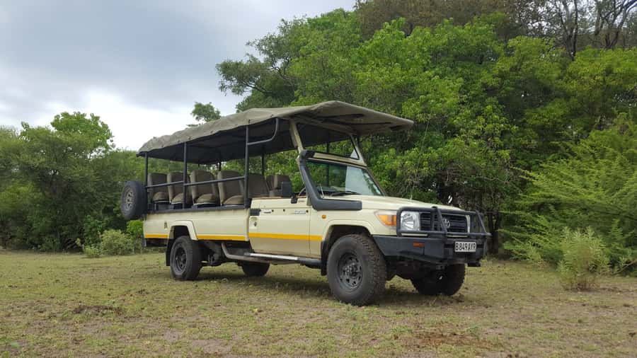 Victoria Falls: Chobe National Park Day Trip with Lunch - Is the $170 price good value?