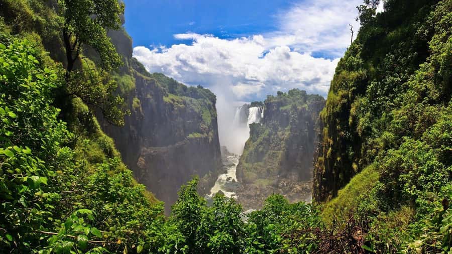 Victoria Falls: Cultural Tour with High Tea - Starting with the falls and rainforest walk