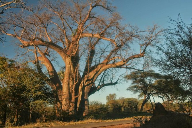 Victoria falls Day Trip in Zimbabwe from Livingstone (Zambia) - Three hours around Victoria Falls