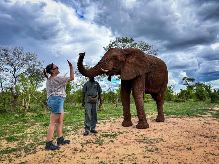 Victoria Falls: Elecrew Through The Eyes Of An Elephant - The opening talk puts elephants first