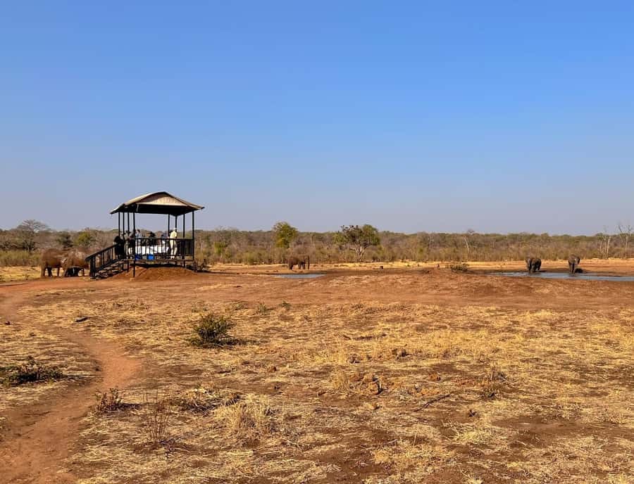 Victoria Falls: Elecrew Through The Eyes Of An Elephant - Who should book this?