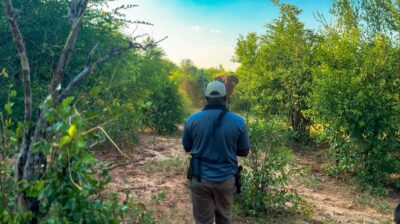 Game Walk in the Zambezi National Park