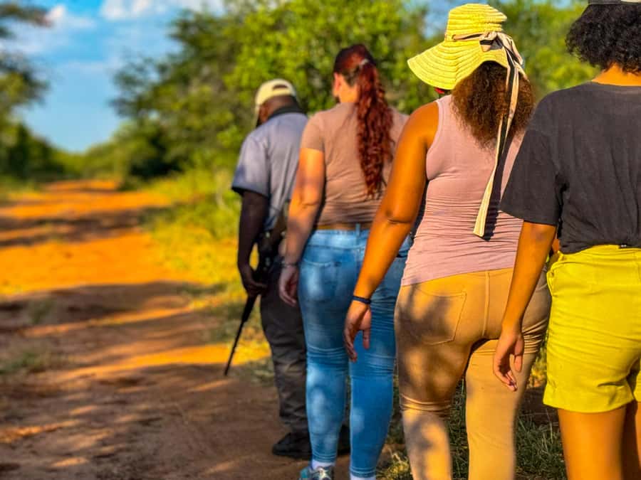 Victoria Falls: Game Walk in the Zambezi National Park - The afternoon option: drinks and sunset in the bush