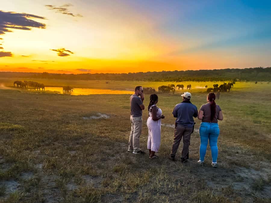Victoria Falls: Game Walk in the Zambezi National Park - Wildlife viewing on foot: what you may see