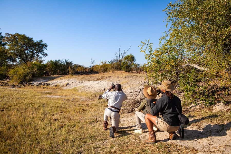 Victoria Falls: Game Walk in the Zambezi National Park - Two hours in the park, plus a simple return transfer