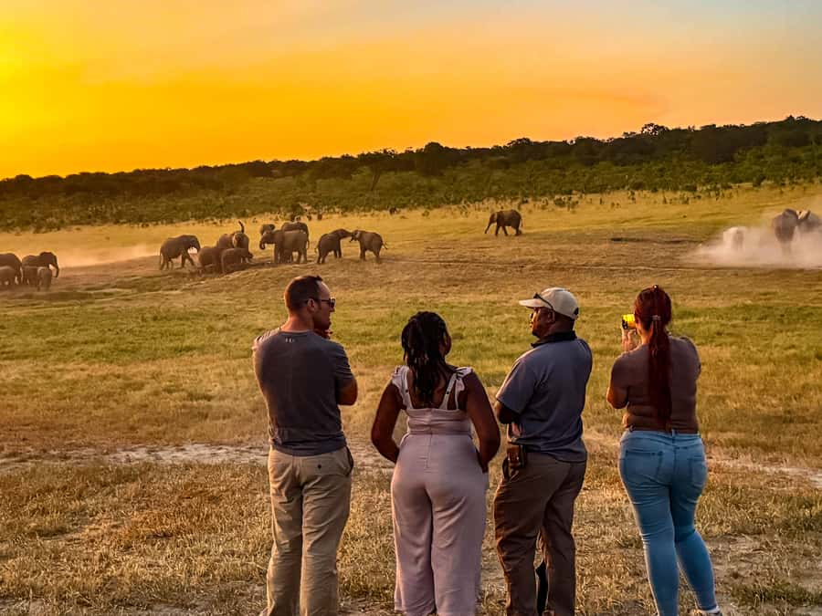 Victoria Falls: Game Walk in the Zambezi National Park - What is included, and what costs extra