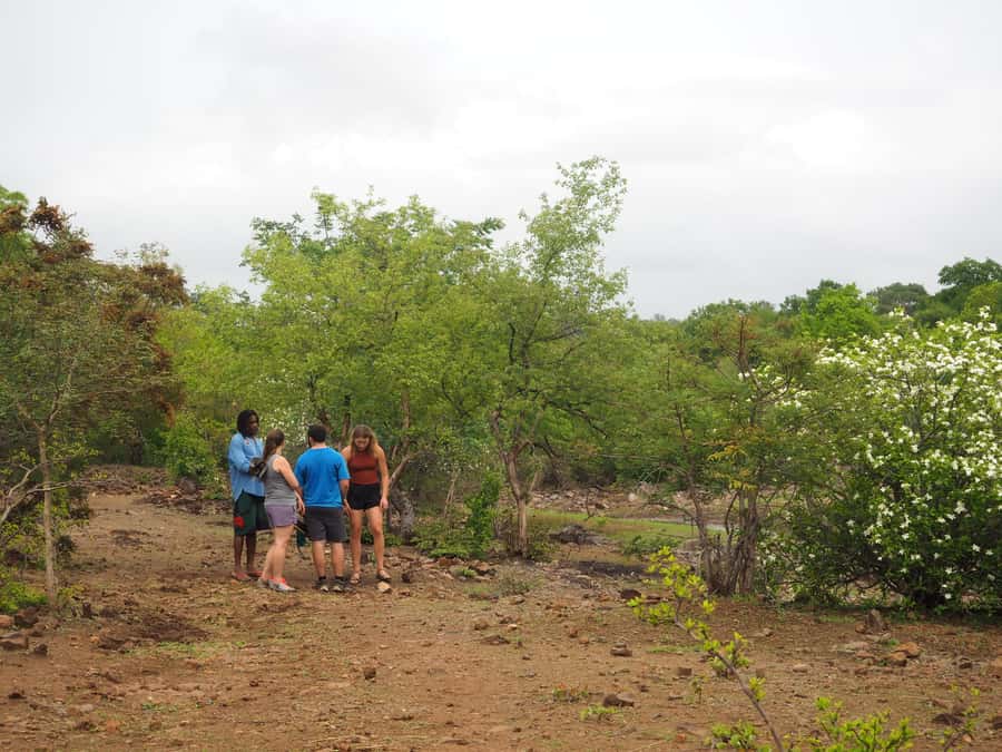 Victoria Falls Gorge Hike & Farm to Table Village Lunch - Who should book this experience?