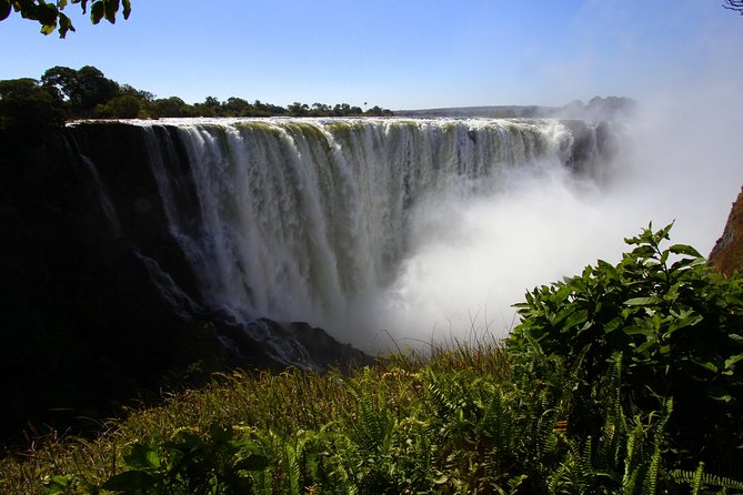 Victoria Falls Guided Tour - Walking through rainforest fed by spray