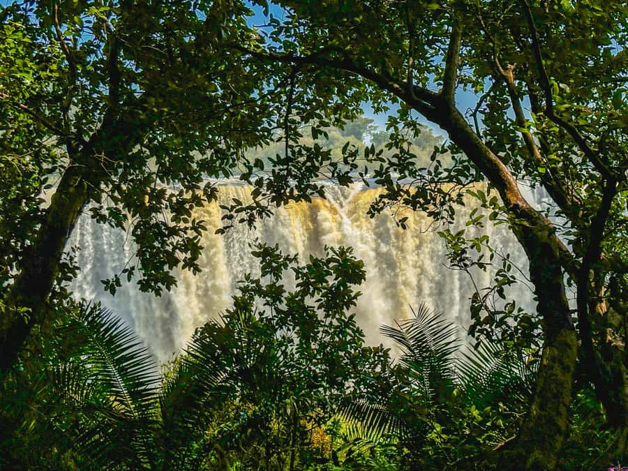 Victoria Falls: Guided Tour of the Victoria Falls - The 30-minute transfer from Victoria Falls