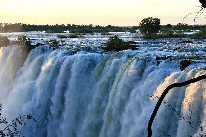 Victoria Falls Guided Tour with Hotel Pickup - Walking through the rainforest beside the falls