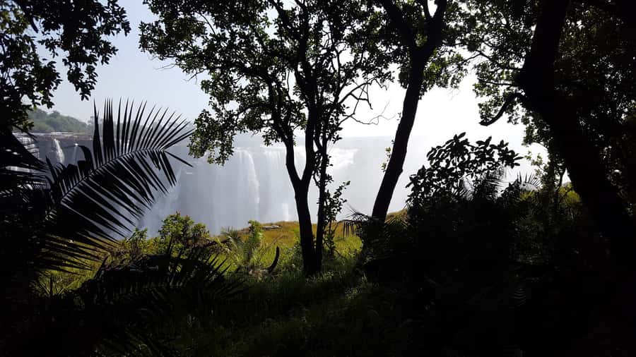 Victoria Falls: Guided Walking Tour - The Chain Walk and Devil’s Cataract