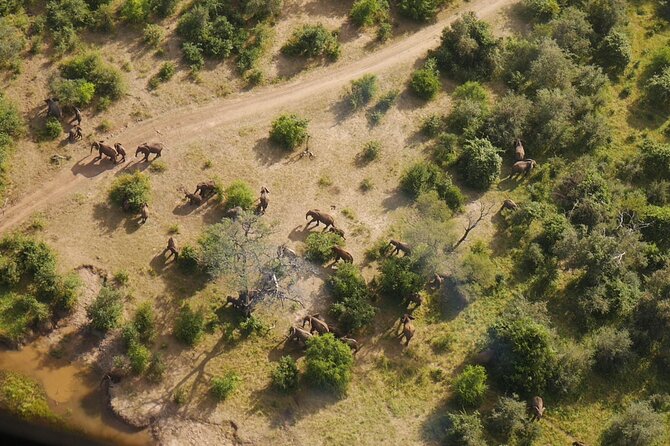 Victoria Falls Helicopter Tour - The 25-minute Game Flight toward Zambezi National Park
