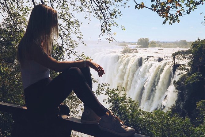 Victoria Falls Historical Bridge Tour ! - Timing, group size, and the best fit