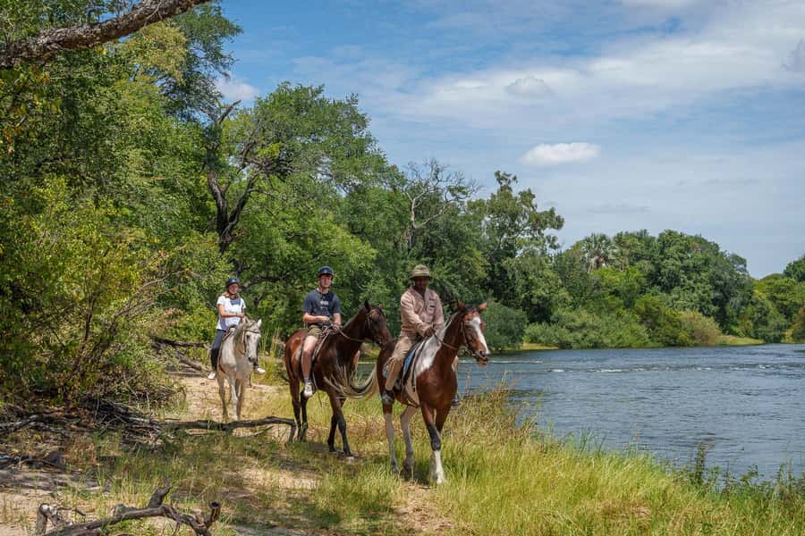 Victoria Falls National Park: Horseback Safari - Searching for elephant, buffalo, and rhino