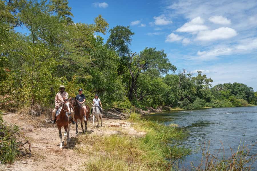 Victoria Falls National Park: Horseback Safari - Should you book the Victoria Falls horseback safari?