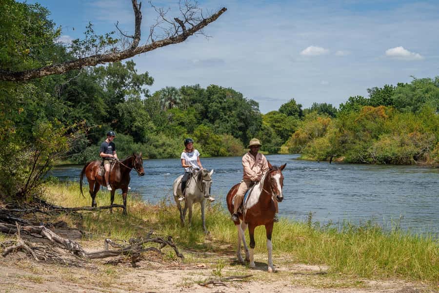 Victoria Falls National Park: Horseback Safari - Getting comfortable with the horses
