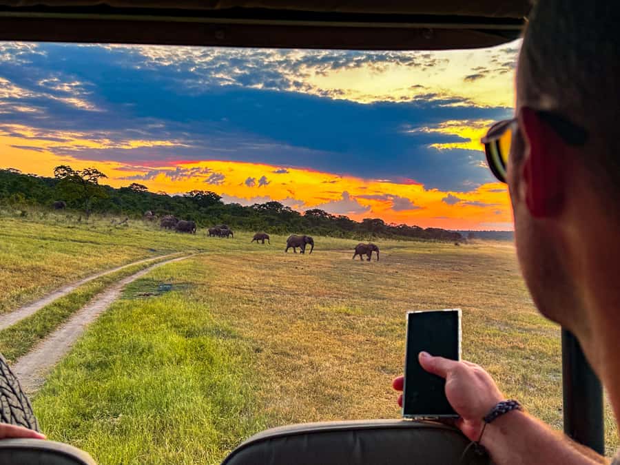 Victoria Falls: Night Game Drive Zambezi National Park - Red spotlights and the search for night animals