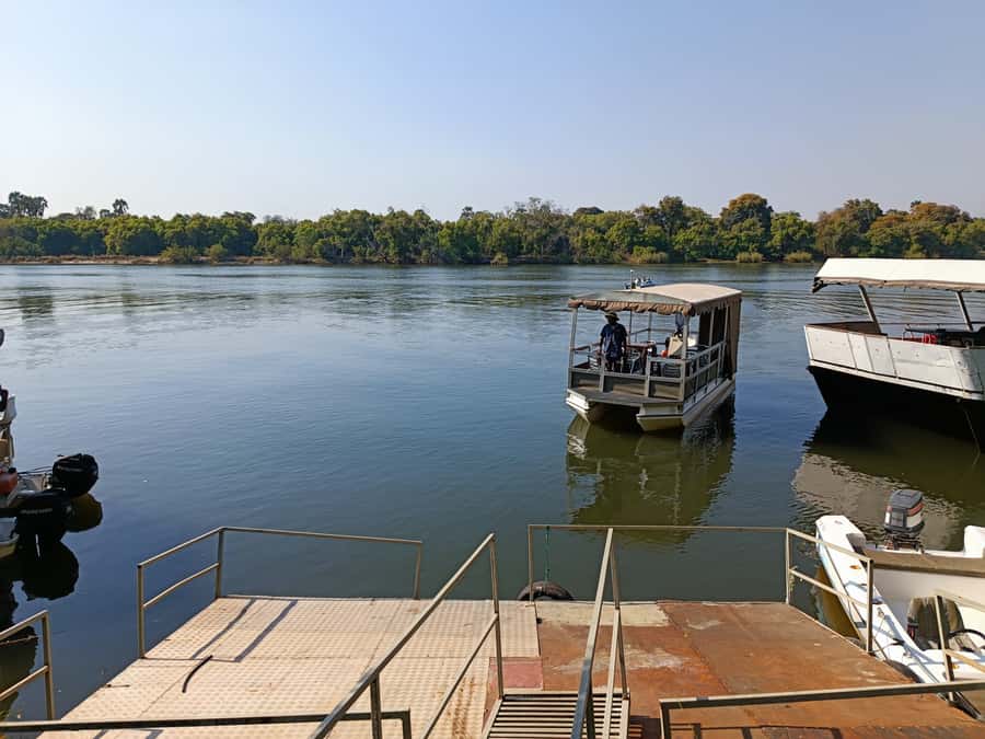 Victoria Falls: Private Zambezi River Birdwatching Safari - The bird list is broad, not just rare
