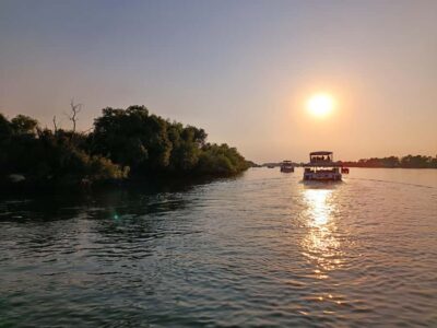 Private Zambezi River Birdwatching Safari