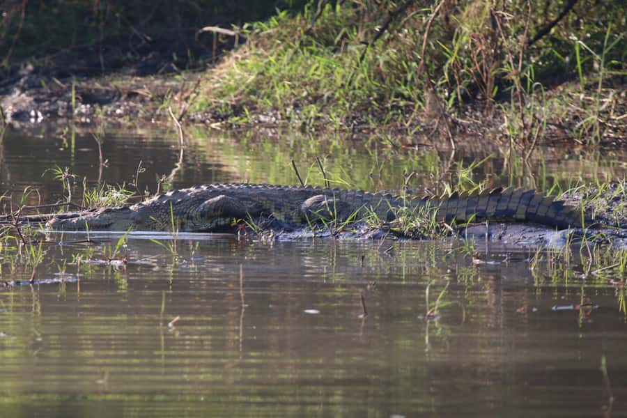 Victoria Falls: Private Zambezi River Birdwatching Safari - Food, equipment and clothing