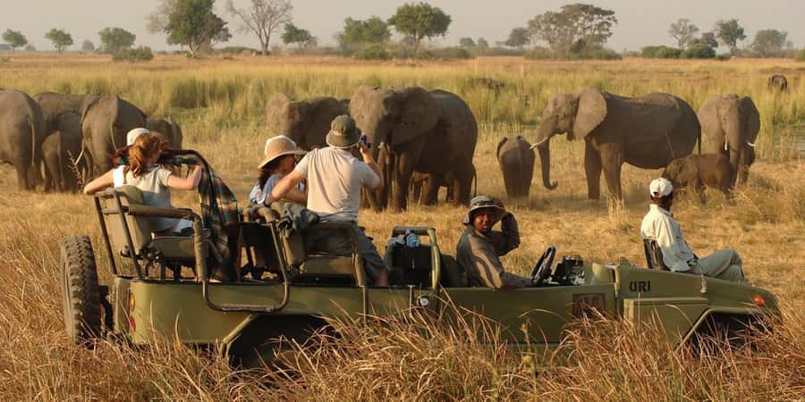 Victoria Falls Safari with Lunch and Sunset Cruise - Zambezi National Park at 7:00 AM