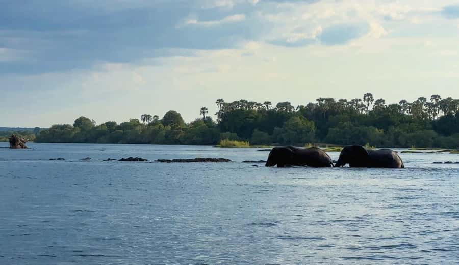 Victoria Falls: Sunset Cruise on the Zambezi River - Price, park fees, and practical value