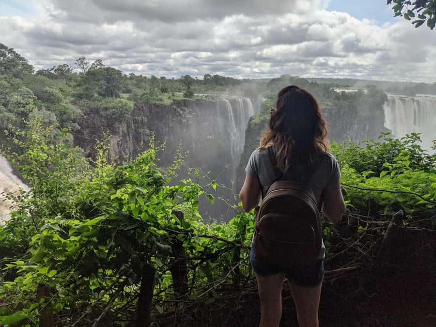 Victoria Falls Town: Victoria Falls Guided Sunrise Tour - What the guide adds to the walk
