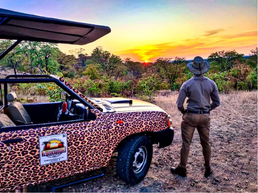 Victoria Falls: Vulture Safari and Bush Walk - Wildlife watching in the Victoria Falls bush