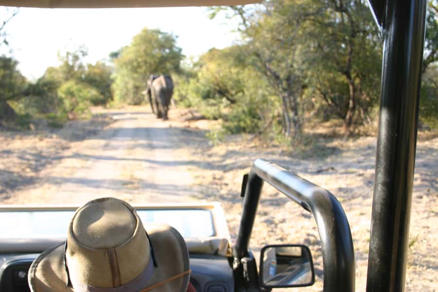 Victoria Falls: Vulture Safari and Bush Walk - How the $78 price holds up