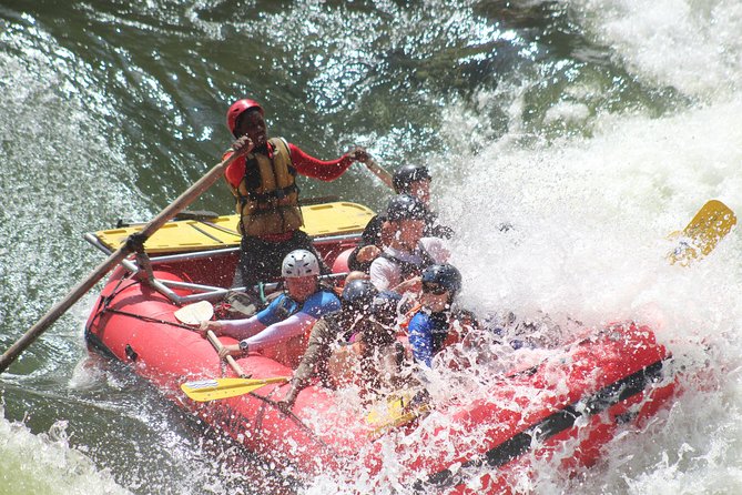 Victoria Falls: Whitewater Rafting + Chobe Safari Combo - Two days, two very different sides of the Zambezi