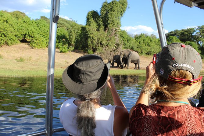 Victoria Falls: Whitewater Rafting + Chobe Safari Combo - Why the combo offers decent value at $298