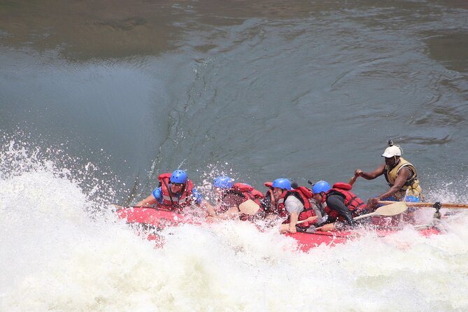 Victoria Falls: Whitewater Rafting + Chobe Safari Combo - Timing, transfers, and the physical demands