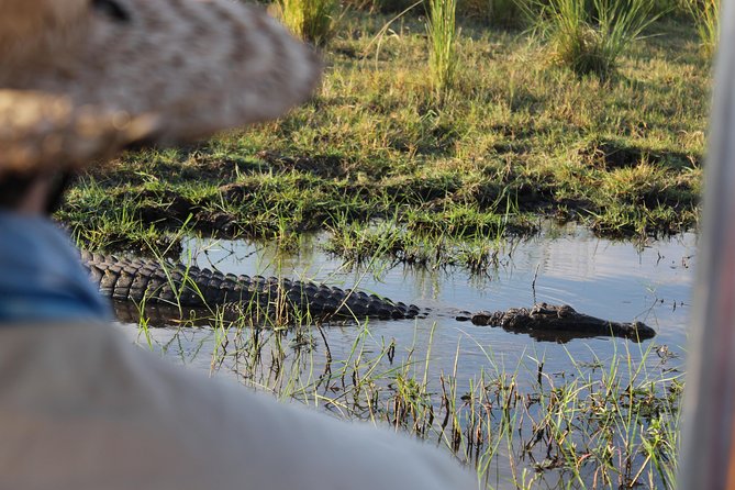 Victoria Falls: Whitewater Rafting + Chobe Safari Combo - Booking details worth checking before you pay