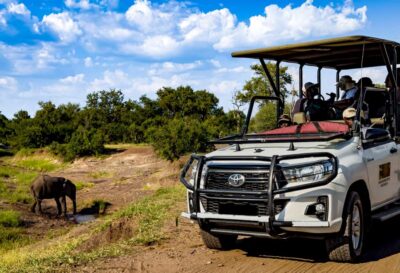 Zambezi National Park Game Drive