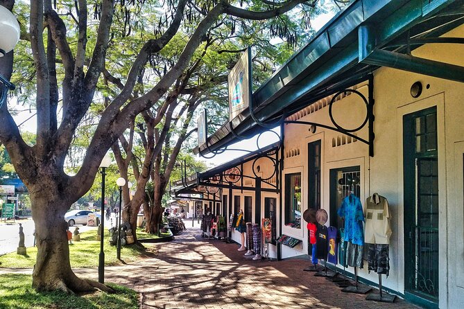 Walking Safari of Victoria Falls Town - Why this short walk works well in Victoria Falls Town