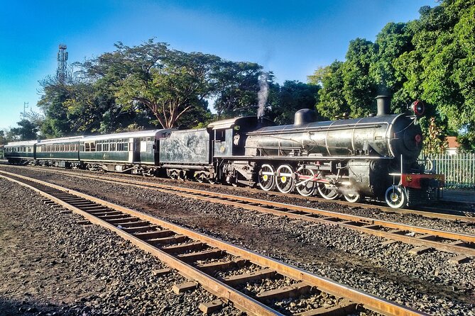 Walking Safari of Victoria Falls Town - A ten-minute bush walk toward the gorge