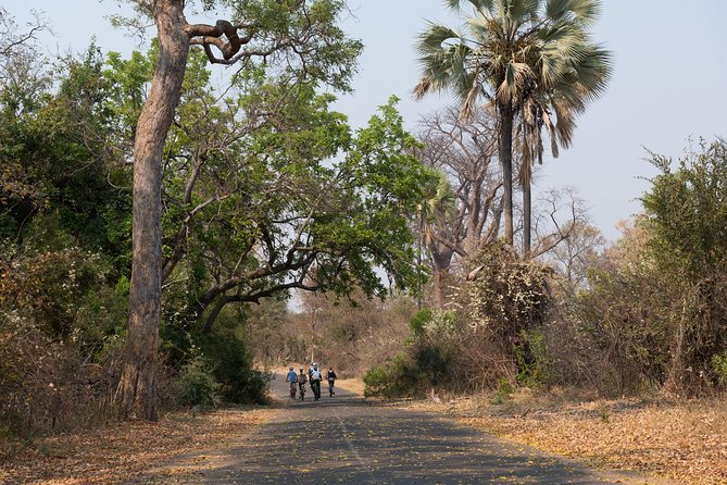 Wild Horizons Bike Tour (Zimbabwe) - Who will get the most from this tour