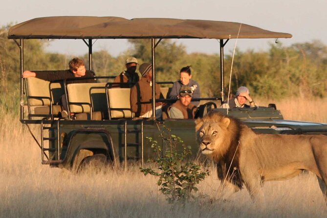 Zambezi National Park AM or PM Game Drive - How the Guides Shape the Experience