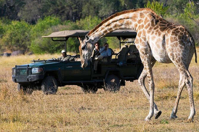 Zambezi National Park AM or PM Game Drive - What Happens During the Three-Hour Drive