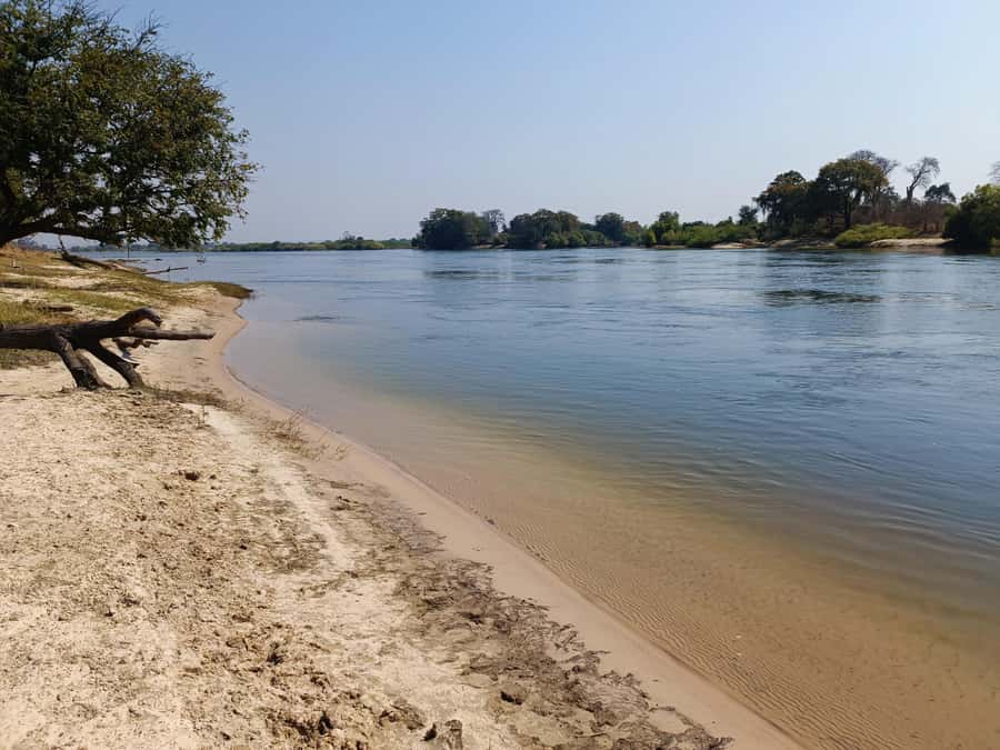 Zambezi National Park Private Wildlife Safari (4 - 10 hours) - Searching for lions, leopards, and rare species