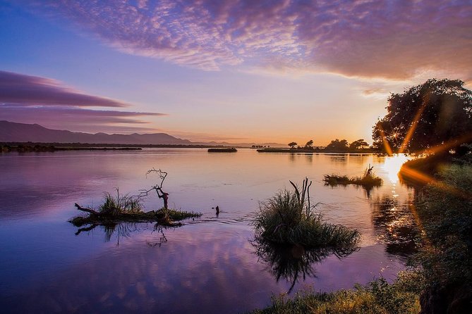 Zambezi River Standard Sunset Cruise - Who will get the most from this cruise