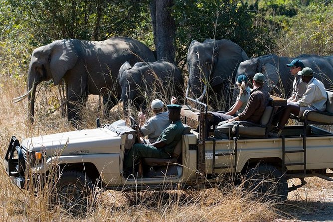 Zambezi Sunset Cruise + Game Drive Safari with hotel Pick Up - Why the river and safari combination works