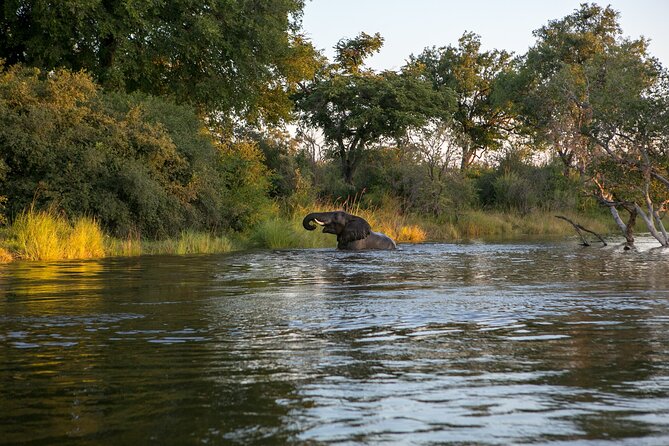 Zambezi Sunset Cruise – Wildlife, Drinks & Breathtaking Views - What happens once you leave Azambezi River Lodge